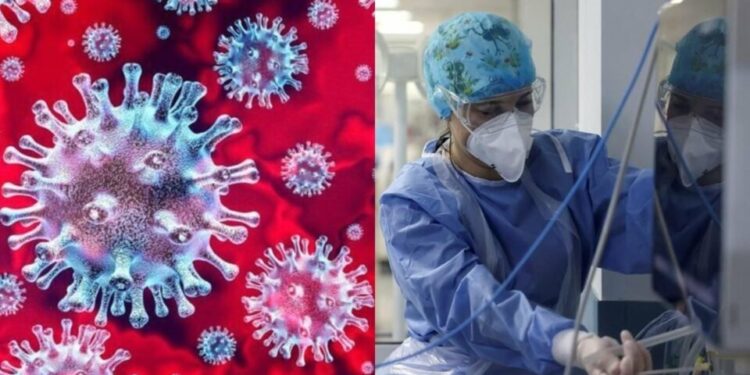 Alldaynews.gr Άσχημα νέα για όσους κόλλησαν Κορονοϊό: Η άγνωστη βλάβη που προκαλεί – Τι έδειξαν οι έρευνες