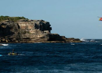 «Θεέ μου, καρχαρίας τρώει άνθρωπο, είναι τρελό!» – Βίντεο-σοκ από επίθεση λευκού καρχαρία που πάγωσε την Αυστραλία