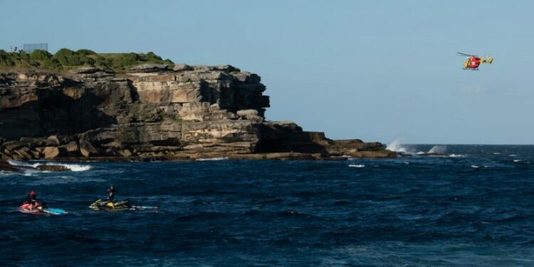 Alldaynews.gr «Θεέ μου, καρχαρίας τρώει άνθρωπο, είναι τρελό!» – Βίντεο-σοκ από επίθεση λευκού καρχαρία που πάγωσε την Αυστραλία