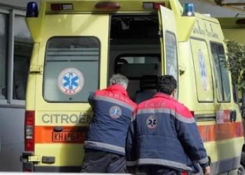 Ασύλληπτη τραγωδία στη Βάρδα: «Έσβησε« στον δρόμο  και τα σκυλιά κατασπάραξαν τη σορό του