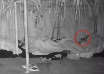 Survivor-Σοκ για τον Απόστολο Ρουβά: Τι έπεσε πάνω στο πρόσωπό του