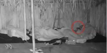 Survivor-Σοκ για τον Απόστολο Ρουβά: Τι έπεσε πάνω στο πρόσωπό του