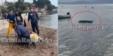 Παραλίγο Τραγωδία: Έπεσε στη θάλασσα με το αυτοκίνητο[video][photos]