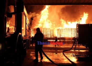 Θεσσαλονίκη: Μεγάλη φωτιά στα Διαβατά κοντά σε βενζινάδικο[video]