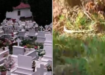 Alldaynews.gr Μαρτυρία-σοκ από υπάλληλο του νεκροταφείου: Είδα το αγοράκι Νεκρό με τον ομφάλιο λώρο