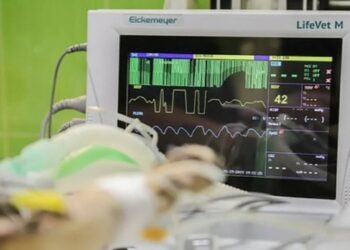 Τι σκεφτόμαστε πριν πεθάνουμε; Οι επιστήμονες απαντούν