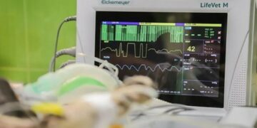 Alldaynews.gr Τι σκεφτόμαστε πριν πεθάνουμε; Οι επιστήμονες απαντούν