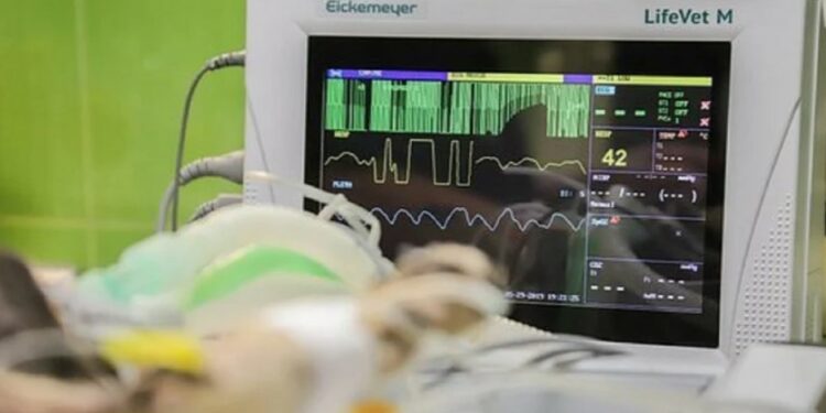 Alldaynews.gr Τι σκεφτόμαστε πριν πεθάνουμε; Οι επιστήμονες απαντούν