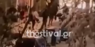 Alldaynews.gr Βίντεο ΣΟΚ: Η στιγμή της δολοφονίας του 19χρονου Άλκη