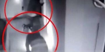 Alldaynews.gr Θεσσαλονίκη: Βίντεο – ντοκουμέντο από ληστεία σε σούπερ μάρκετ με λεία 100.000 ευρώ (video)