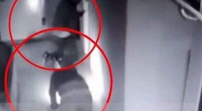 Alldaynews.gr Θεσσαλονίκη: Βίντεο – ντοκουμέντο από ληστεία σε σούπερ μάρκετ με λεία 100.000 ευρώ (video)