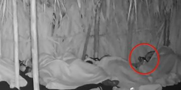 Survivor: Οι συγκάτοικοι στο στρατόπεδο των Διασήμων (video)