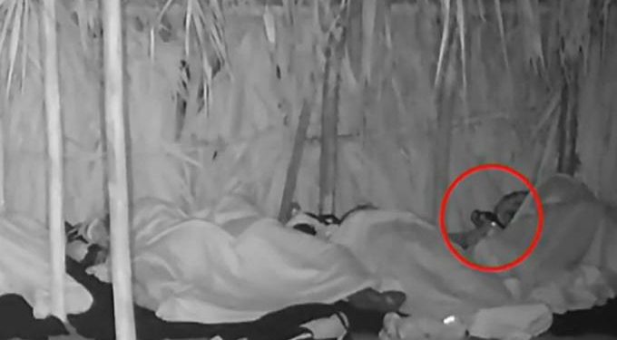 Survivor: Οι συγκάτοικοι στο στρατόπεδο των Διασήμων (video)