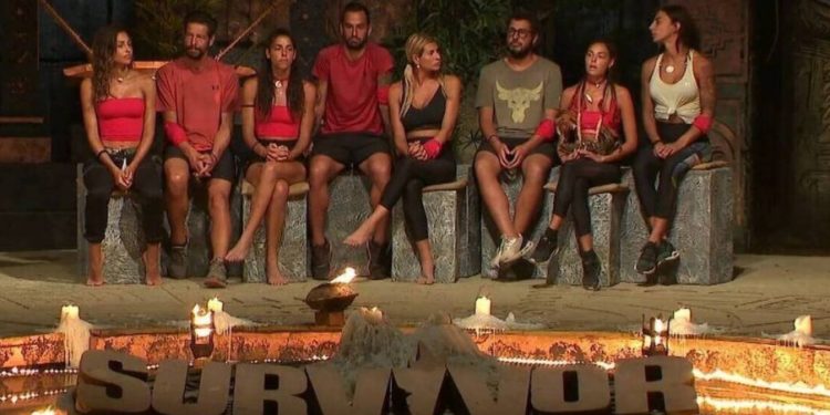 Alldaynews.gr Survivor