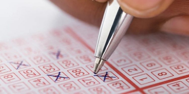 Alldaynews.gr Έπαιζαν για 22 χρόνια τα ίδια νούμερα ώσπου… κέρδισαν! Τρελά λεφτά για ζευγάρι