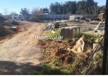 Θεσσαλονίκη – Νεκρό βρέφος: “Δεν μπορώ να πιστέψω αυτό που είδα” (video)