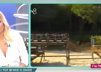 Ανατριχιαστικός τραυματισμός στο Survivor: Του βγήκε ο ώμος και ούρλιαζε από τους πόνους (video)
