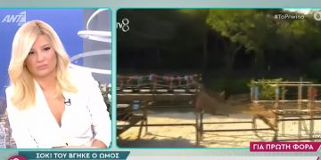 Alldaynews.gr Ανατριχιαστικός τραυματισμός στο Survivor: Του βγήκε ο ώμος και ούρλιαζε από τους πόνους (video)