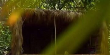 Alldaynews.gr Survivor