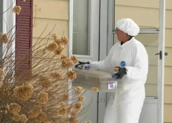 Alldaynews.gr Σοκαριστικό έγκλημα: Σκότωσε και διαμέλισε τον εραστή της κατά τη σ3ξουαλική πράξη!