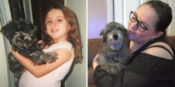 Alldaynews.gr Γυναίκα υιοθετεί ένα ηλικιωμένο σκυλί και ανακαλύπτει ότι είναι ο “καλύτερος φίλος” της που έχασε ως παιδί