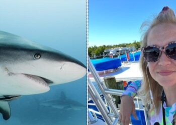 Η γυναίκα που «άρχισε στις μπουνιές» τον καρχαρία που τη δάγκωσε και γλίτωσε από τα σαγόνια του