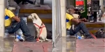 Alldaynews.gr Συγκινητικό: Σκύλος πλησιάζει άστεγο και τον «αγκαλιάζει» – Του έδωσε την αγάπη που χρειαζόταν