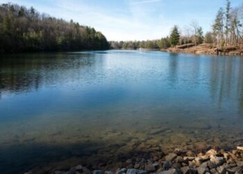 Απίστευτη ιστορία: 74χρονος έσωσε από πνιγμό νεαρό και στη συνέχεια τον πυροβόλησε θανάσιμα – Κρίθηκε αθώος