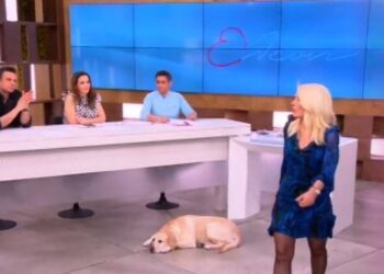 Ελένη, περπατάς και τρίζουν τα πατώματα – Απίστευτο στιγμιότυπο on air[video]