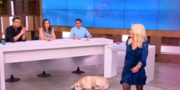 Ελένη, περπατάς και τρίζουν τα πατώματα – Απίστευτο στιγμιότυπο on air[video]