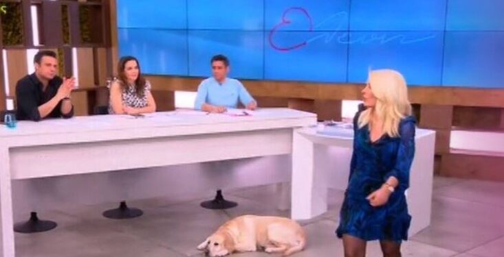 Ελένη, περπατάς και τρίζουν τα πατώματα – Απίστευτο στιγμιότυπο on air[video]