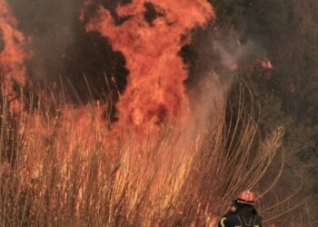 Καίγεται η Σάμος: Σε εξέλιξη η μεγάλη φωτιά – Ενισχύονται οι δυνάμεις