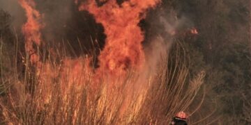 Alldaynews.gr Καίγεται η Σάμος: Σε εξέλιξη η μεγάλη φωτιά – Ενισχύονται οι δυνάμεις