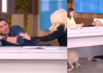 Απίστευτη τούμπα για Δημήτρη Ουγγαρέζο! Τον πέταξε η Μενεγάκη από το σκαμπό[video]