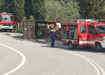 Θρήνος για τον  άτυχο Νίκο-Σκοτώθηκε σε τροχαίο με φορτηγό, ο πολύτεκνος πατέρας[photos]