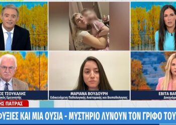 Πάτρα: «Είμαστε στον επίλογο αυτής της υπόθεσης»-Ανα πάσα στιγμή μπορούν να γίνουν συλλήψεις[video]