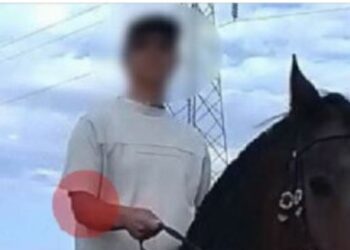 Ανδραβίδα: Αυτός είναι ο βασικός ύποπτος του φονικού – Σοκάρει το πόρισμα του ιατροδικαστή