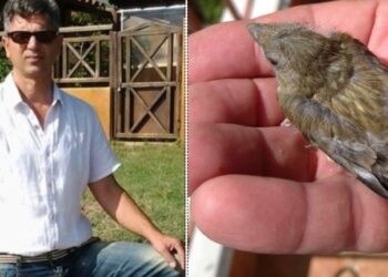 Μέχρι και “σπουργιτάκι” κρατούσε στο χέρι του το τέρας της Ανδραβίδας! ΔΕΙΤΕ τι του γράφουν στο facebook