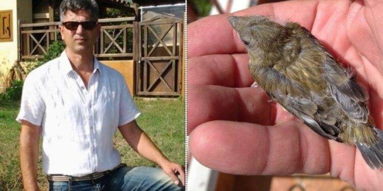 Alldaynews.gr Μέχρι και “σπουργιτάκι” κρατούσε στο χέρι του το τέρας της Ανδραβίδας! ΔΕΙΤΕ τι του γράφουν στο facebook