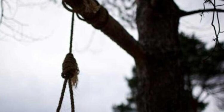 Alldaynews.gr Θρίλερ στην  Καστοριά: Άνδρας βρέθηκε κρεμασμένος σε δέντρο