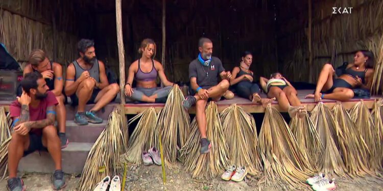 Alldaynews.gr Survivor