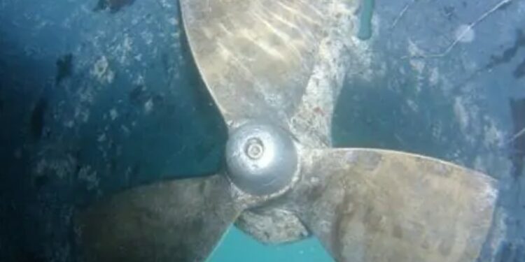 Alldaynews.gr Τραγικό τέλος: Γιος Πασίγνωστου επιχειρηματία διαμελίστηκε από προπέλα σκάφους -Προσπαθούσε να σώσει τη φίλη του