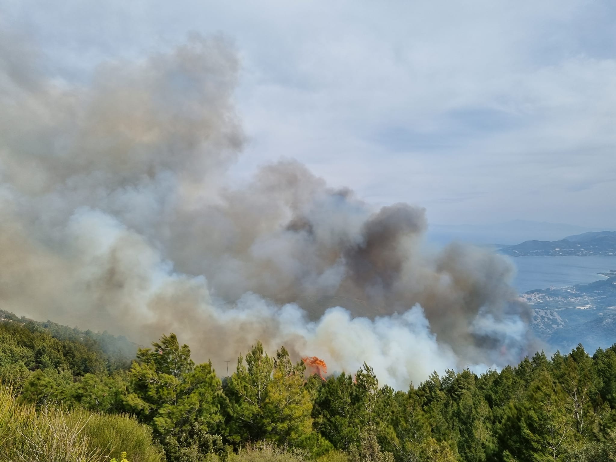 samos-Σάμος φωτιά