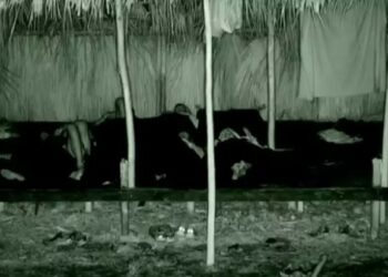 Survivor: «Άιντε στο δια…ο τώρα» – Έξαλλοι όλοι οι Μαχητές