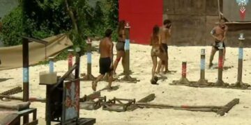 Alldaynews.gr Survivor