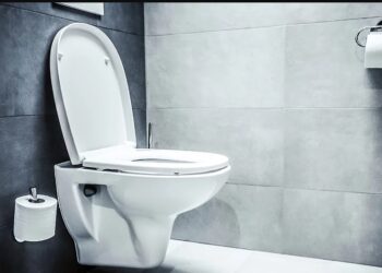 Δύο από τις πιο διάσημες προσωπικότητες της ιστορίας που πέθαναν στην… τουαλέτα