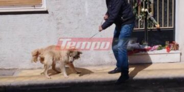 Πάτρα: Πήραν τον σκύλο της οικογένειας που ήταν ακόμα στο σπίτι-Λουλούδια και μπαλόνια στη μνήμη των παιδιών[photos]