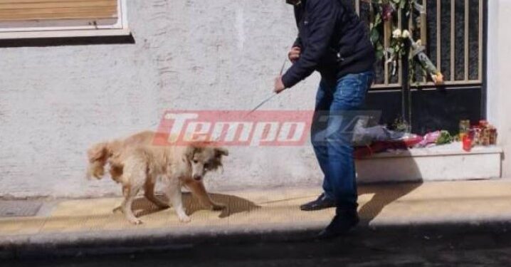Πάτρα: Πήραν τον σκύλο της οικογένειας που ήταν ακόμα στο σπίτι-Λουλούδια και μπαλόνια στη μνήμη των παιδιών[photos]