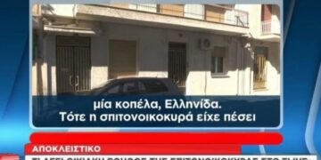 Alldaynews.gr Πισπιρίγκου – Αποκαλύψεις από την οικιακή βοηθό της σπιτονοικοκυράς: «Μου είχε πει να ψάξω γιατί πέθανε»