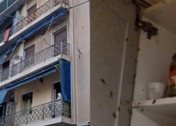 Alldaynews.gr Άγιος Παντελεήμονας: «Έβγαζαν κατσαρίδες από το στόμα» δηλώνει συγκλονισμένος ο πατέρας των τριών παιδιών